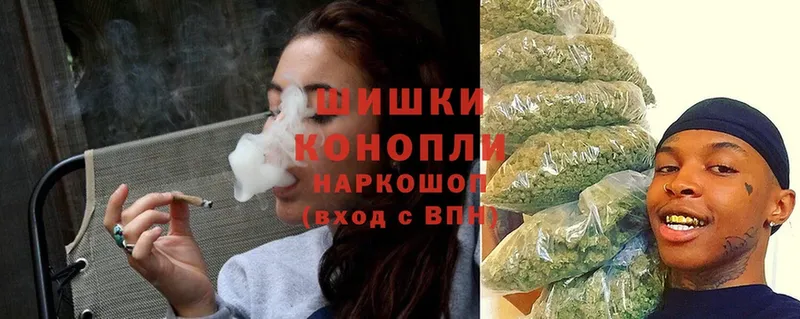 Шишки марихуана THC 21%  купить закладку  Новоалтайск 